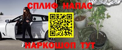 spice Анапа