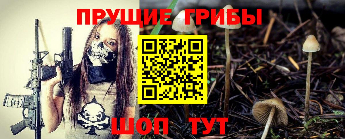 Галлюциногенные грибы Magic Shrooms Волгоград